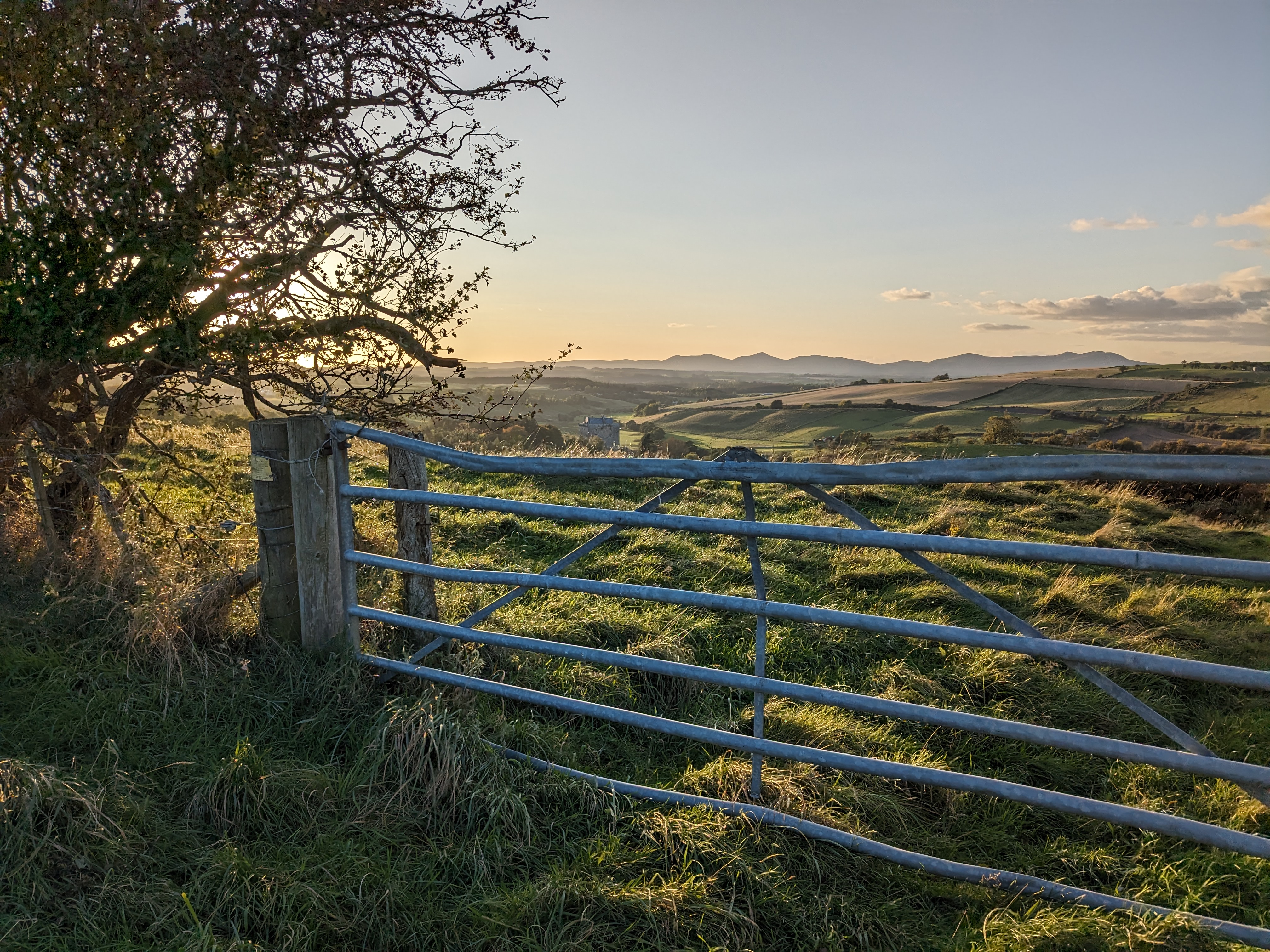 nice wee placeholder pic image